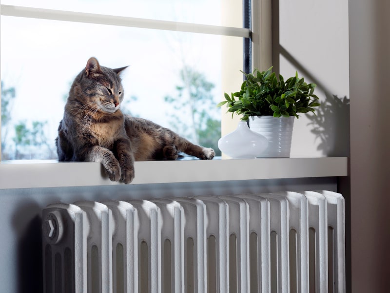 3 Ways Pet Owners Can Maintain Their HVAC System